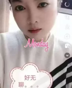 湖州小懒猫