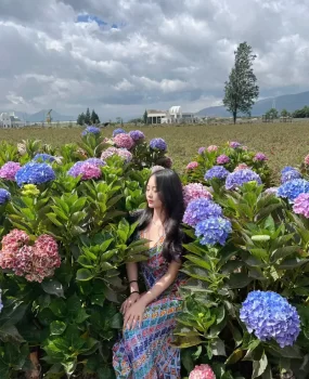 大波美少女清清